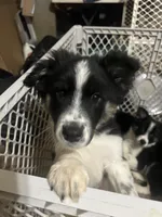 processed/a0848555-232b-4d40-9bbd-a97ef96359af/listing/3006ce9a-5ac4-460d-b02b-f74fc4b576cd/4846b7e4-c8a4-4efc-90f4-1663a938d2d5