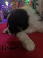 processed/a0848555-232b-4d40-9bbd-a97ef96359af/listing/3006ce9a-5ac4-460d-b02b-f74fc4b576cd/4cf6a2ec-71ad-4556-ac98-9bf3d151a16d