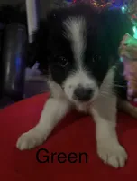 processed/a0848555-232b-4d40-9bbd-a97ef96359af/listing/3006ce9a-5ac4-460d-b02b-f74fc4b576cd/7b54120c-e29f-4e70-9d14-69d810e5a103