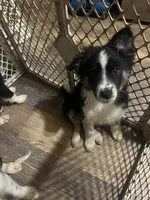 processed/a0848555-232b-4d40-9bbd-a97ef96359af/listing/3006ce9a-5ac4-460d-b02b-f74fc4b576cd/98fcffcb-0723-4ed4-9651-6a1aa007bcc8