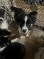 processed/a0848555-232b-4d40-9bbd-a97ef96359af/listing/3006ce9a-5ac4-460d-b02b-f74fc4b576cd/a1691728-b053-4085-988b-741a143de133