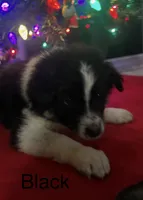 processed/a0848555-232b-4d40-9bbd-a97ef96359af/listing/835ef137-6172-4622-b198-0c1a32e3b965/1b95f1ab-e218-4682-8ffd-5dc34a92a892