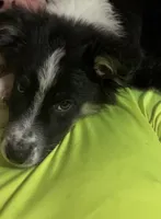 processed/a0848555-232b-4d40-9bbd-a97ef96359af/listing/b05da1b4-5337-4efa-b0dd-4ce5094de510/07a91299-5862-455a-beff-d614d3871619