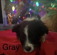 processed/a0848555-232b-4d40-9bbd-a97ef96359af/listing/b05da1b4-5337-4efa-b0dd-4ce5094de510/080b0651-ad00-4882-a7c5-09079cfbb1b1