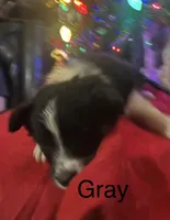 processed/a0848555-232b-4d40-9bbd-a97ef96359af/listing/b05da1b4-5337-4efa-b0dd-4ce5094de510/4fc3fb0f-9d70-428f-ad6f-f30a32ae3ecf