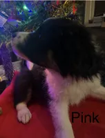 processed/a0848555-232b-4d40-9bbd-a97ef96359af/listing/dfafb848-8fa9-48ae-8411-eb6c6ee4d1db/0181acec-0434-41d2-ad0b-9ada16d5b5db