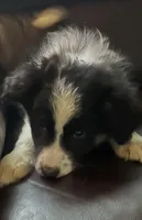 processed/a0848555-232b-4d40-9bbd-a97ef96359af/listing/dfafb848-8fa9-48ae-8411-eb6c6ee4d1db/440ad49c-e90e-466d-b53d-8bcf8e65fd03