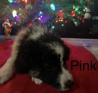 processed/a0848555-232b-4d40-9bbd-a97ef96359af/listing/dfafb848-8fa9-48ae-8411-eb6c6ee4d1db/9bfff8fb-3761-4142-9bb3-594457daad29