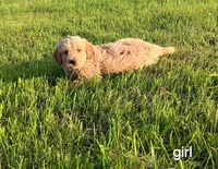 processed/a084a178-6a41-4e57-8200-4467a2b71dd6/facility/2e85c8b6-9a12-4998-bb63-7a238ae3e8a9