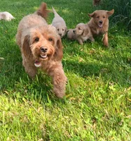 processed/a084a178-6a41-4e57-8200-4467a2b71dd6/facility/41a18118-a4b2-4429-bc73-0056cad6c20b