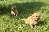 processed/a084a178-6a41-4e57-8200-4467a2b71dd6/facility/9a8cc1ec-9a89-434a-a328-d15ceeda5bf9