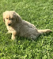 processed/a084a178-6a41-4e57-8200-4467a2b71dd6/facility/ab2b3953-95dc-4d18-9edc-a0f34eac159f