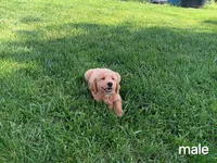 processed/a084a178-6a41-4e57-8200-4467a2b71dd6/facility/ae52d0cc-b795-4ee9-8b72-897327ffc947