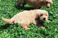 processed/a084a178-6a41-4e57-8200-4467a2b71dd6/facility/e3904909-db95-4158-b068-652d267e40f3