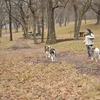 processed/a08b61cc-ec22-4fdc-8f72-9c199283cbb6/facility/b749d19c-03e6-4d11-80f7-2ffe696e79a9