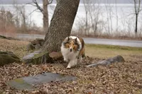 processed/a08b61cc-ec22-4fdc-8f72-9c199283cbb6/facility/e741fe86-d0ff-41c6-a246-a3b17e126bf0