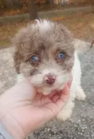 processed/a08b61cc-ec22-4fdc-8f72-9c199283cbb6/listing/f3bc3918-6302-4486-acf2-eba09dcb4042/5b12f01d-6b60-40f7-9d11-06c01cd84f53