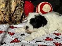 processed/a08ee296-4b22-4673-94dd-eee7e7776517/listing/e84bb14c-74dd-470f-bcb1-a465c42e4f89/1239ab78-e1ef-44ff-a9e9-adc51017b33c