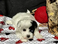 processed/a08ee296-4b22-4673-94dd-eee7e7776517/listing/e84bb14c-74dd-470f-bcb1-a465c42e4f89/33780f52-3ffd-4527-9fc1-f6db39c6ee29