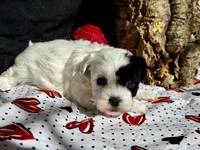 processed/a08ee296-4b22-4673-94dd-eee7e7776517/listing/e84bb14c-74dd-470f-bcb1-a465c42e4f89/4e25437f-45b8-496e-87c9-0277380cb59e