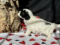 processed/a08ee296-4b22-4673-94dd-eee7e7776517/listing/e84bb14c-74dd-470f-bcb1-a465c42e4f89/5d28f7d7-8802-4450-8774-2ac09b5b3524