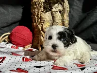 processed/a08ee296-4b22-4673-94dd-eee7e7776517/listing/e84bb14c-74dd-470f-bcb1-a465c42e4f89/836fa5f8-0380-4327-9e3f-4cf2e9606234