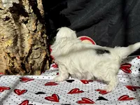 processed/a08ee296-4b22-4673-94dd-eee7e7776517/listing/e84bb14c-74dd-470f-bcb1-a465c42e4f89/8f7c55c6-45dc-4454-b94f-30ab4165233a