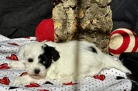 processed/a08ee296-4b22-4673-94dd-eee7e7776517/listing/e84bb14c-74dd-470f-bcb1-a465c42e4f89/f9a8a2af-aa27-47c0-9cdc-d83aa38c1d2d