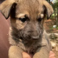 processed/a0906448-eea3-4220-a04d-30d9c7de24b1/facility/216a42ae-3f61-42d1-be8e-12ebd65b2c83