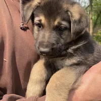 processed/a0906448-eea3-4220-a04d-30d9c7de24b1/facility/486e8b27-3b79-4459-9f1d-03a40d3cad79