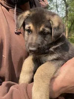 processed/a0906448-eea3-4220-a04d-30d9c7de24b1/facility/486e8b27-3b79-4459-9f1d-03a40d3cad79