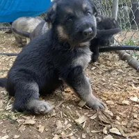 processed/a0906448-eea3-4220-a04d-30d9c7de24b1/facility/5b735a40-0739-4aef-b3d5-86eb5f7bd2d9