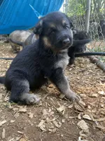 processed/a0906448-eea3-4220-a04d-30d9c7de24b1/facility/5b735a40-0739-4aef-b3d5-86eb5f7bd2d9