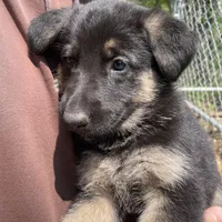 processed/a0906448-eea3-4220-a04d-30d9c7de24b1/facility/6a7197ea-19f7-4937-8005-2b1ea9fc56bb