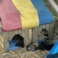 processed/a0906448-eea3-4220-a04d-30d9c7de24b1/facility/71f8a26f-0537-4164-8e28-6f65435d52b7