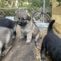 processed/a0906448-eea3-4220-a04d-30d9c7de24b1/facility/9e20d2ea-202b-4fec-b3bb-5432cdba95cd