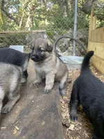 processed/a0906448-eea3-4220-a04d-30d9c7de24b1/facility/9e20d2ea-202b-4fec-b3bb-5432cdba95cd