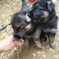 processed/a0906448-eea3-4220-a04d-30d9c7de24b1/facility/b3709fd3-1dd4-4611-b7da-4f6addc15a7d