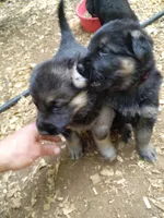 processed/a0906448-eea3-4220-a04d-30d9c7de24b1/facility/b3709fd3-1dd4-4611-b7da-4f6addc15a7d