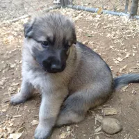 processed/a0906448-eea3-4220-a04d-30d9c7de24b1/facility/dec08fcb-a8af-4ee5-a8de-365997d93f44