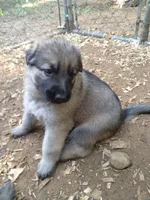 processed/a0906448-eea3-4220-a04d-30d9c7de24b1/facility/dec08fcb-a8af-4ee5-a8de-365997d93f44