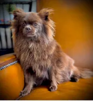 processed/a09862b3-152f-43e6-9b24-0a8f6dc95ccc/facility/6b35e19a-1a7f-47f0-8c99-a8a5db0939e2