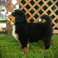 processed/a0a0aaf5-6773-4209-a50d-2e9e2a493b00/facility/05b494ff-21d1-4fd6-9c91-9b0824c67c30