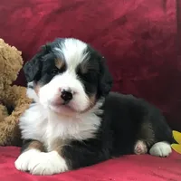 processed/a0a0aaf5-6773-4209-a50d-2e9e2a493b00/facility/167d6d3f-8de6-4e9f-bbb4-768448e1a67e