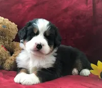 processed/a0a0aaf5-6773-4209-a50d-2e9e2a493b00/facility/167d6d3f-8de6-4e9f-bbb4-768448e1a67e