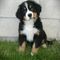 processed/a0a0aaf5-6773-4209-a50d-2e9e2a493b00/facility/4033fe58-ce69-46a7-a0c0-e2fcee0b8858