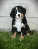 processed/a0a0aaf5-6773-4209-a50d-2e9e2a493b00/facility/4033fe58-ce69-46a7-a0c0-e2fcee0b8858