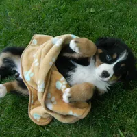 processed/a0a0aaf5-6773-4209-a50d-2e9e2a493b00/facility/63bdf89d-13eb-474d-a88b-3f33829b78dd