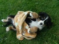 processed/a0a0aaf5-6773-4209-a50d-2e9e2a493b00/facility/63bdf89d-13eb-474d-a88b-3f33829b78dd