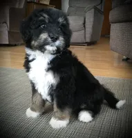 processed/a0a0aaf5-6773-4209-a50d-2e9e2a493b00/facility/76a79ab9-4243-485f-81db-adf253d63abb